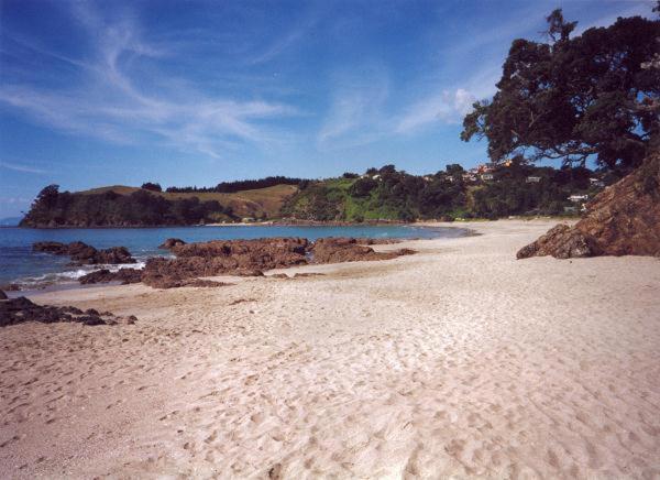 Supacute Character Cottage, Wifi, Sky Tv, Spa Bath, Spa Bath, Dble Kayak And Possibly A Car! Palm Beach Exterior foto