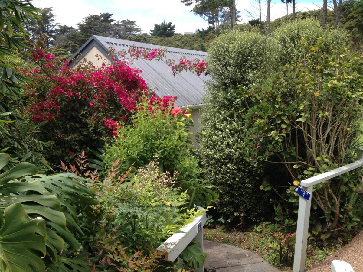Supacute Character Cottage, Wifi, Sky Tv, Spa Bath, Spa Bath, Dble Kayak And Possibly A Car! Palm Beach Exterior foto