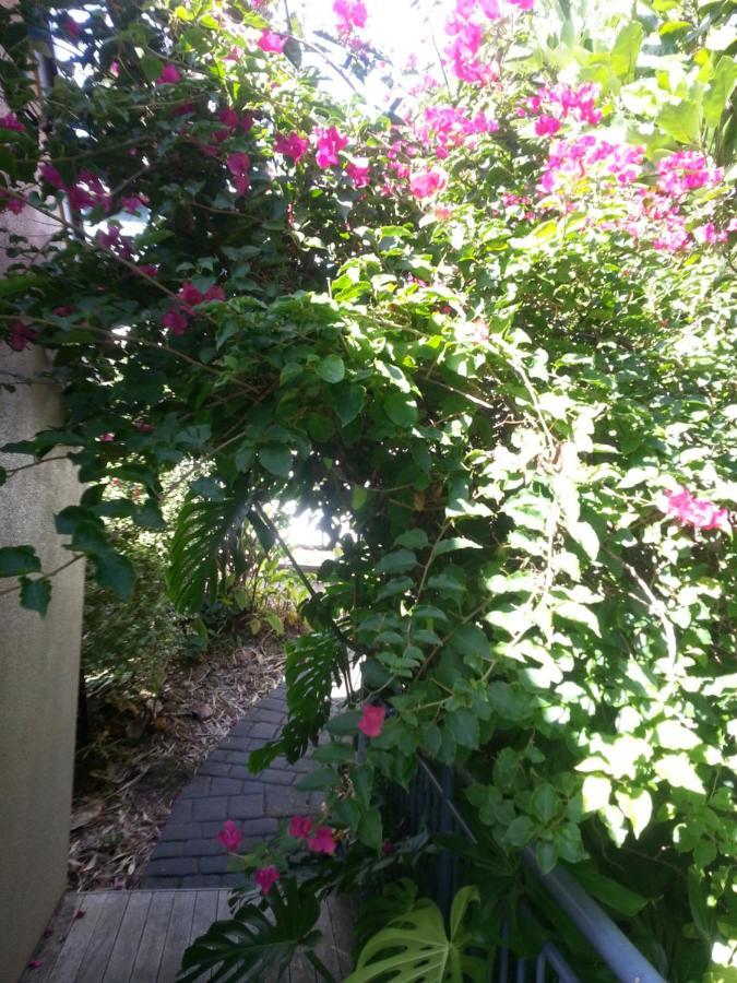 Supacute Character Cottage, Wifi, Sky Tv, Spa Bath, Spa Bath, Dble Kayak And Possibly A Car! Palm Beach Exterior foto